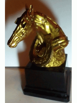 Награда Лошадь 23-16