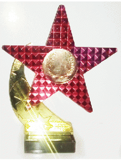 Награда Звезда красная